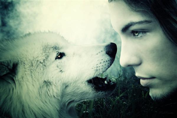 Мальчик и Волк
